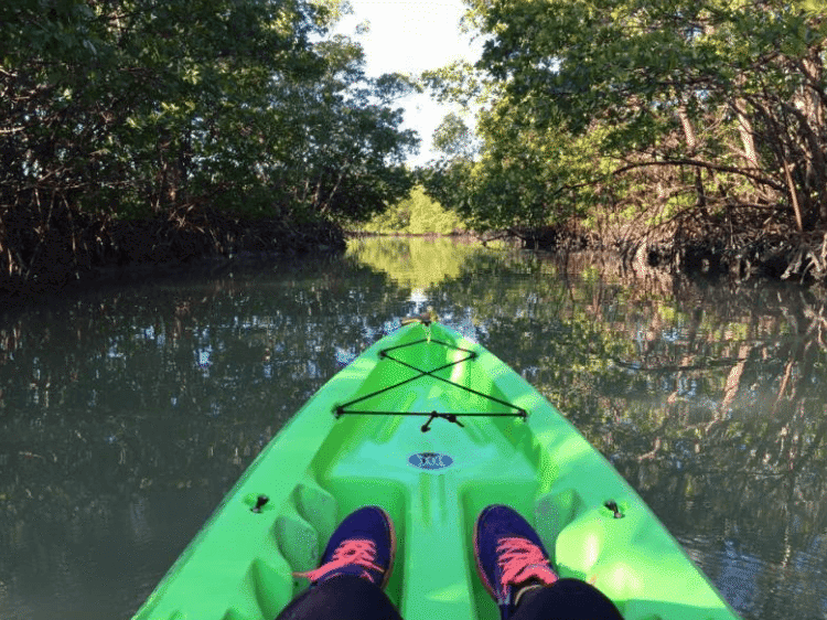 Naples grande kayak tour