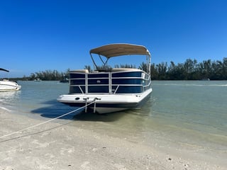 Dolphin cove pontoon
