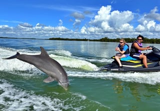Avis watersports jet ski tour