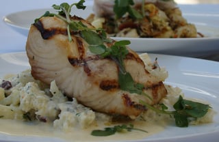 Fin bistro fish dish