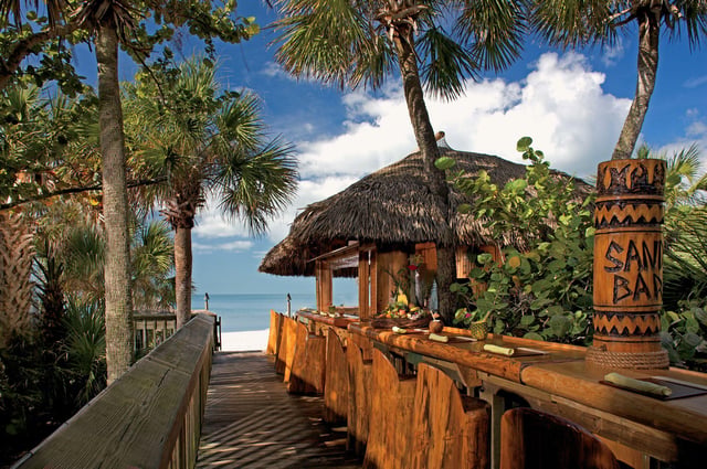 Bar gumbo limbo