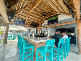 The Oasis 3