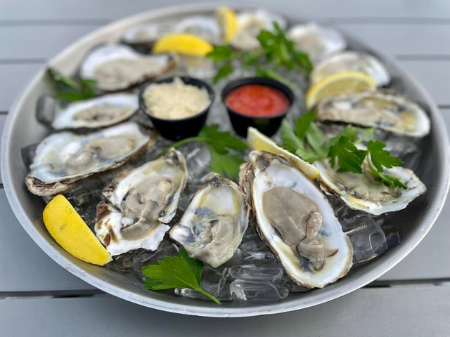 Oasis oysters