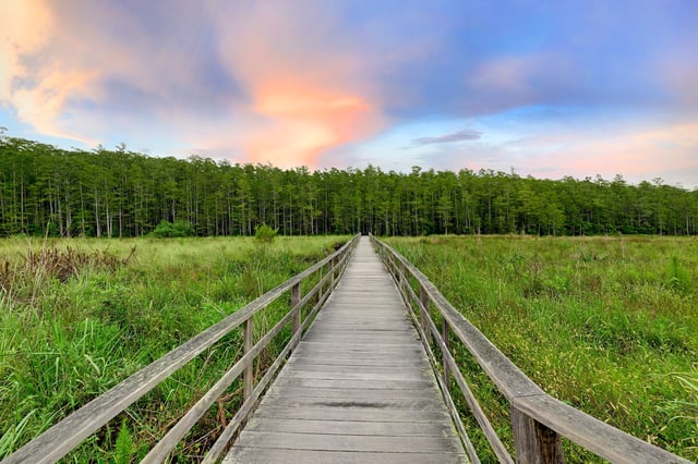 Corkscrew swamp santuary