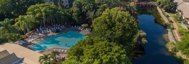 Aerial view of Park Shore Resort's pool ringed by lounge chairs and palms beside a tree-lined lake