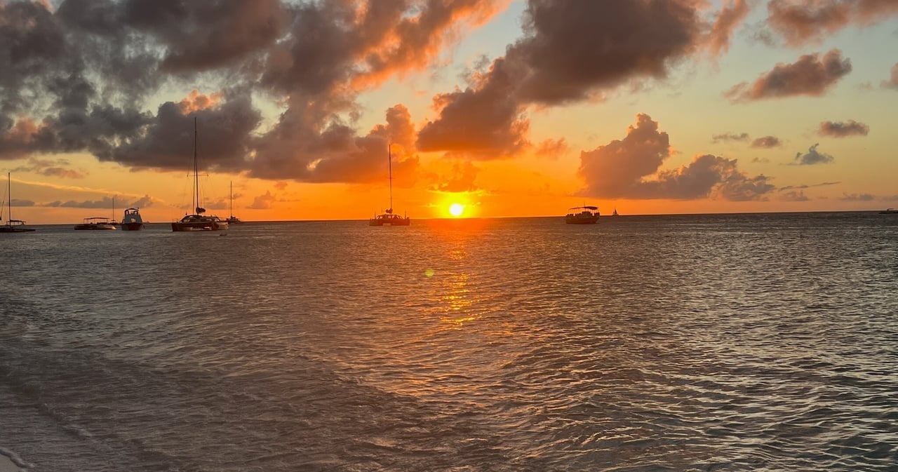 Port royal sunset sand dollar