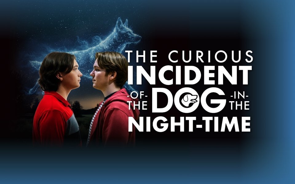 The Curious Incident of the Dog in the Night-Time promo art with two young men facing each other under a starry dog constellation