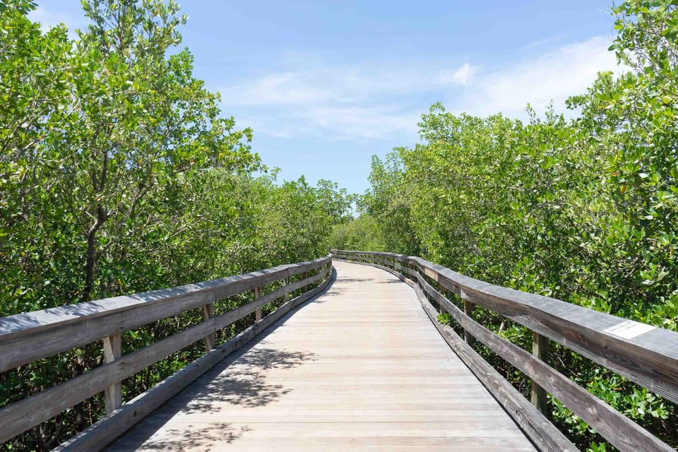 Clam pass park boardwalk sunny