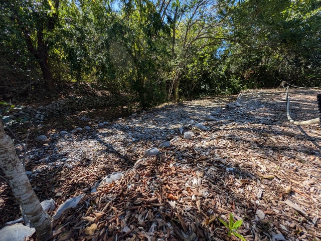 Otter mound preserve calusa shells