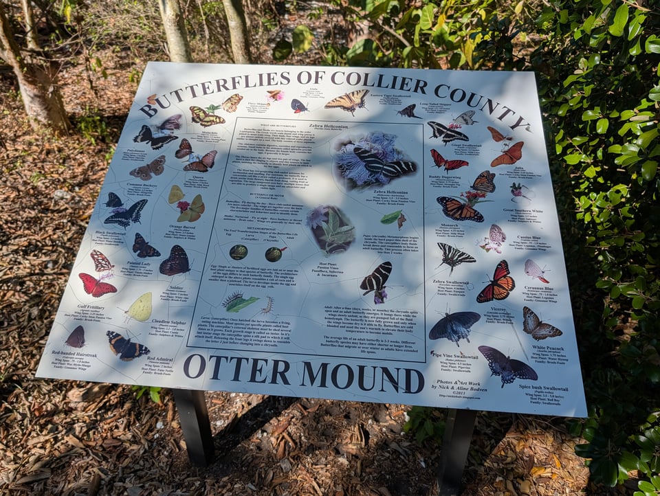 Otter mound preserve butterflies