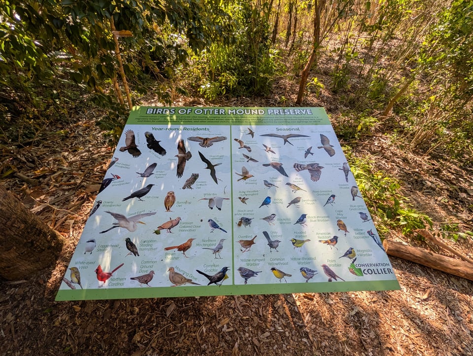 Otter mound preserve birds