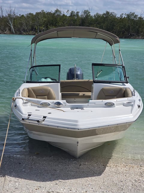 White deck boat with tan bimini top beached on a sandy shore beside clear turquoise water and mangroves