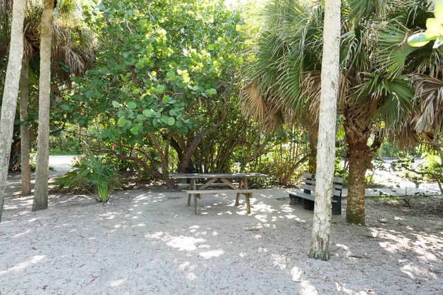 Delnor wiggins picnic spot
