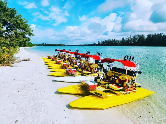 Kool Cat Eco Tours