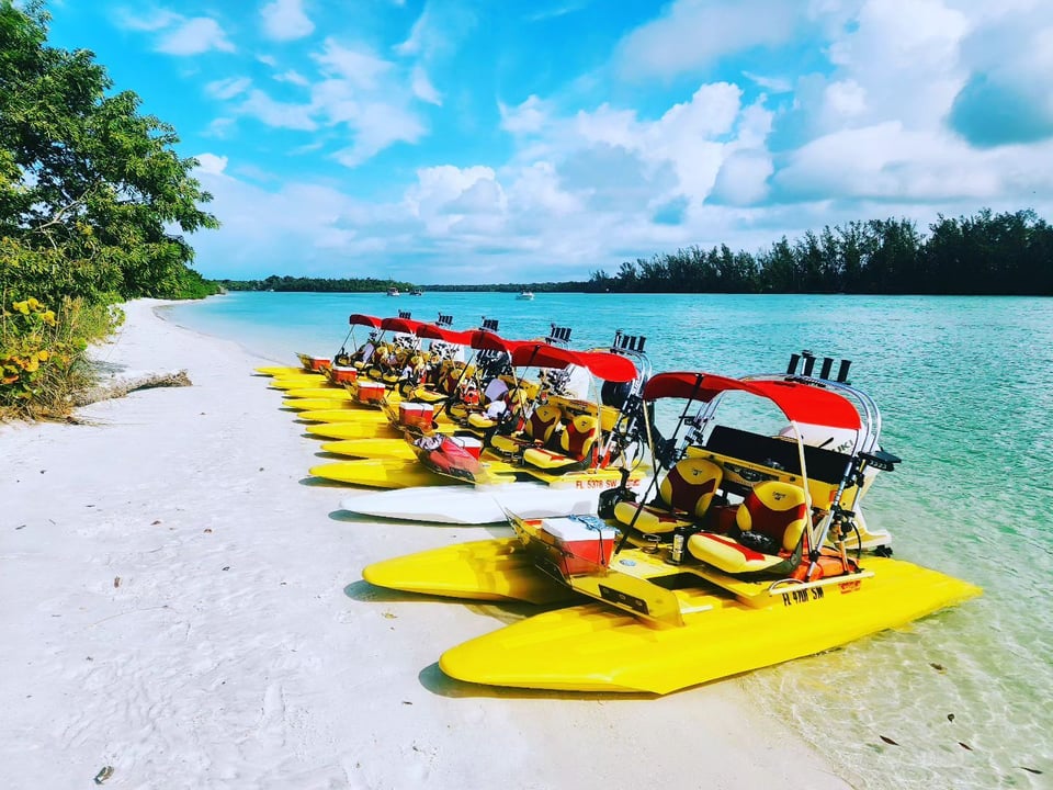 Kool Cat Eco Tours