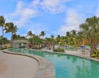 Curving resort pool lined with palm trees and lounge chairs under a bright blue sky