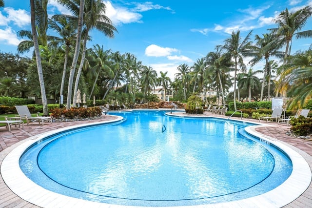 Curved resort swimming pool ringed by lounge chairs and tall palm trees under a bright blue sky
