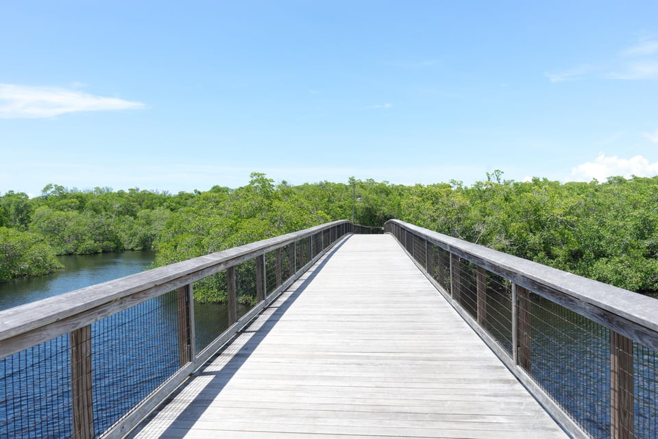 Gordon river greenway boardwalk bridge