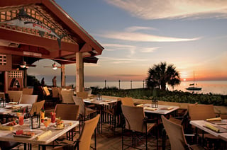 Gumbo Limbo 3