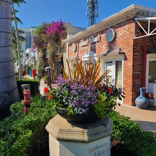 Bha bha exterior