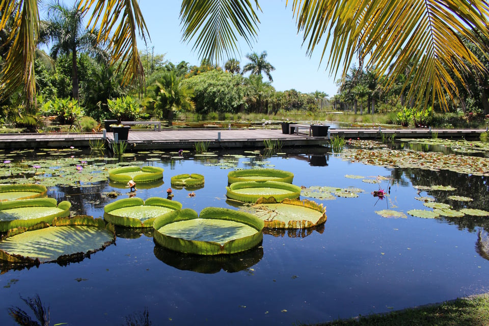 Naples botanical garden