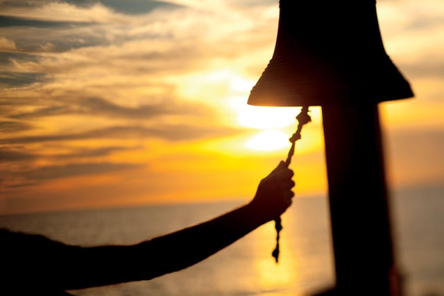 Sunset bell gumbo limbo