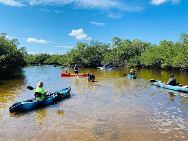 Paddle park capri