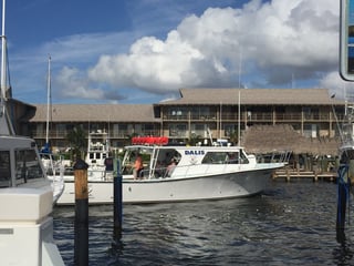 Dalis fishing charters