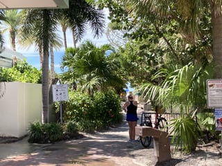A woman stands on the palm-shaded walkway to the beach at Bluebill Beach Access, near bikes and posted rules signs