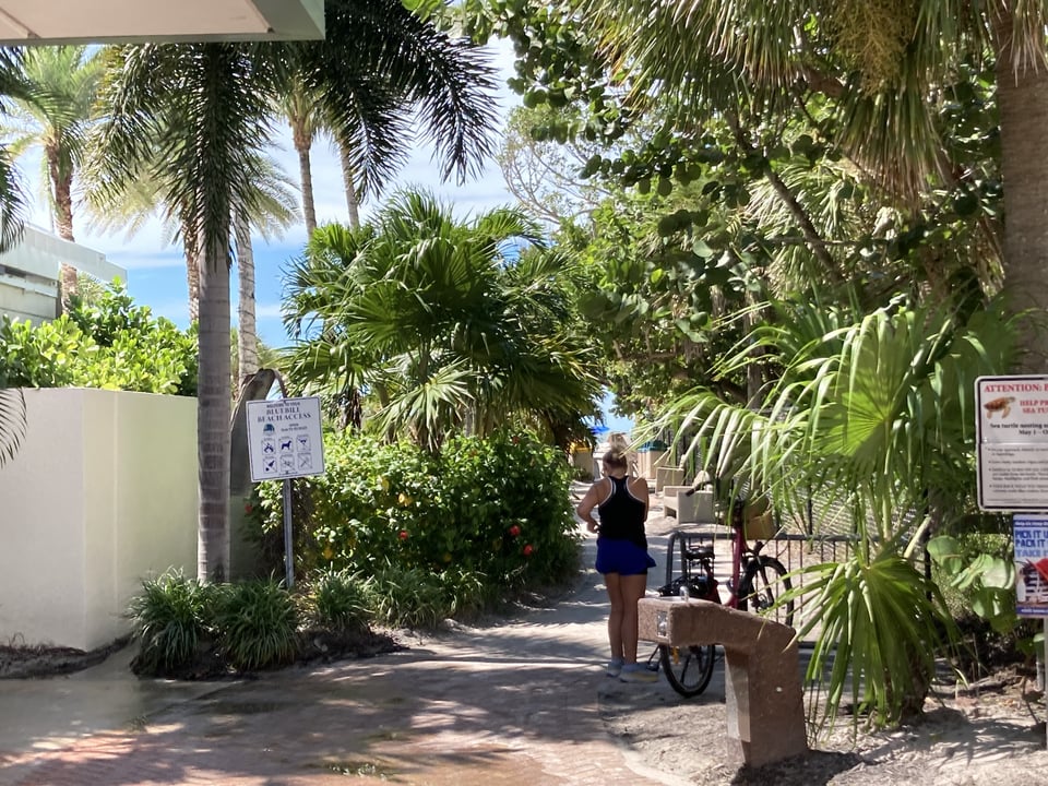 A woman stands on the palm-shaded walkway to the beach at Bluebill Beach Access, near bikes and posted rules signs