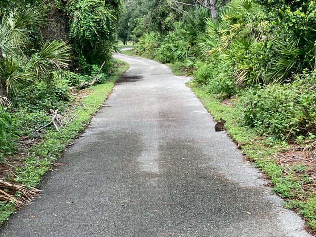 Freedom Park paved path