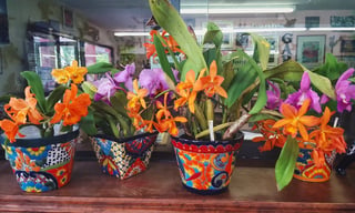 Green door nursery