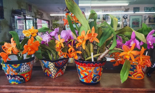 Green door nursery