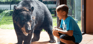 Boy and bear for today at the zoo