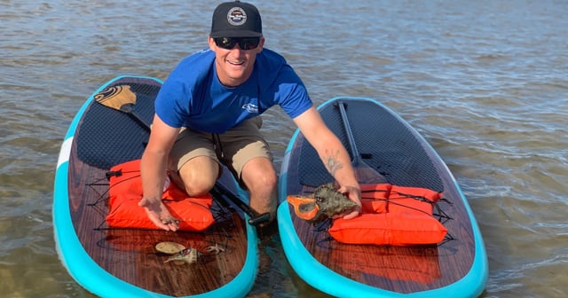 A Three Brothers guide kneeling between two paddleboards in shallow Gulf water, showing a horseshoe crab