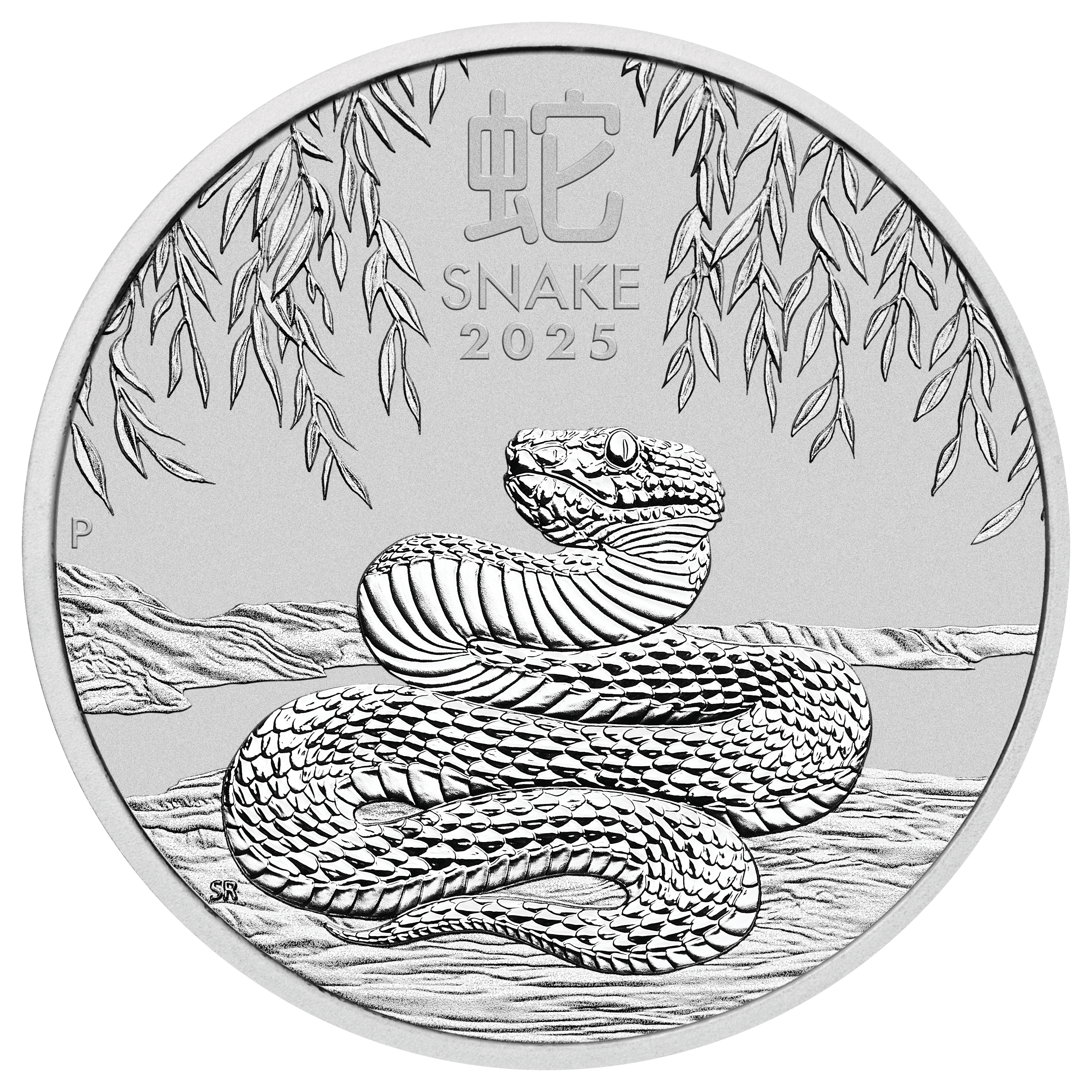 2025 Year of the Snake 10kg Silver Coin