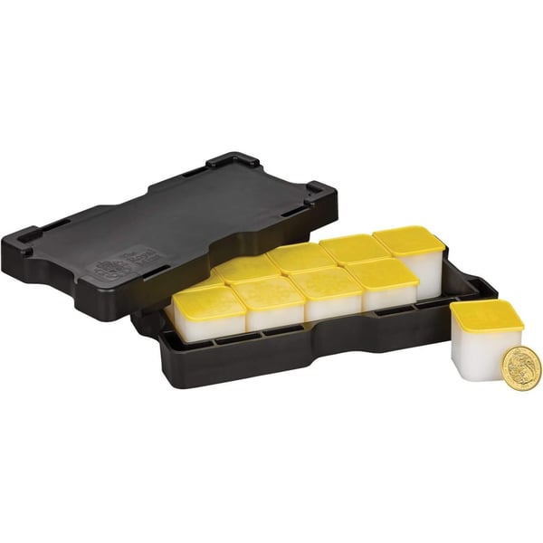 RTLE221G-2022-the-tudor-beasts-the-lion-of-england-1oz-9999-gold-bullion-coin