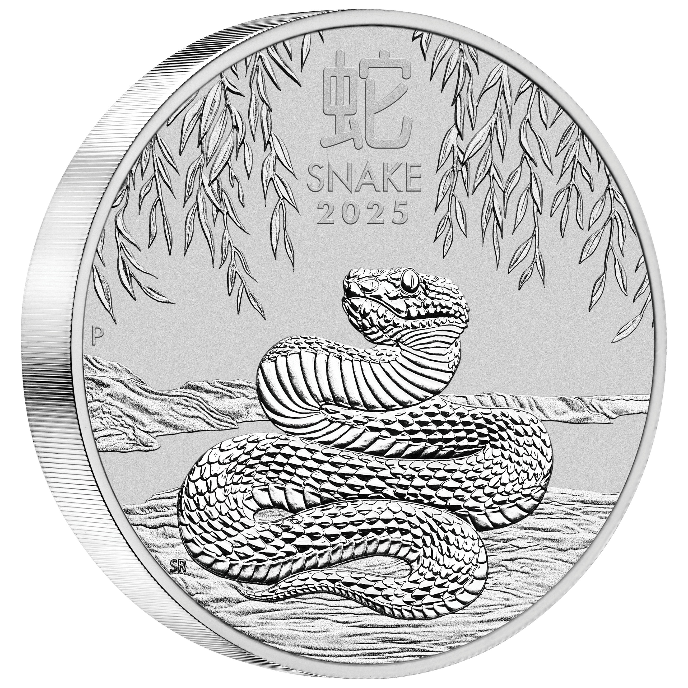 2025 Year of the Snake 10kg Silver Coin