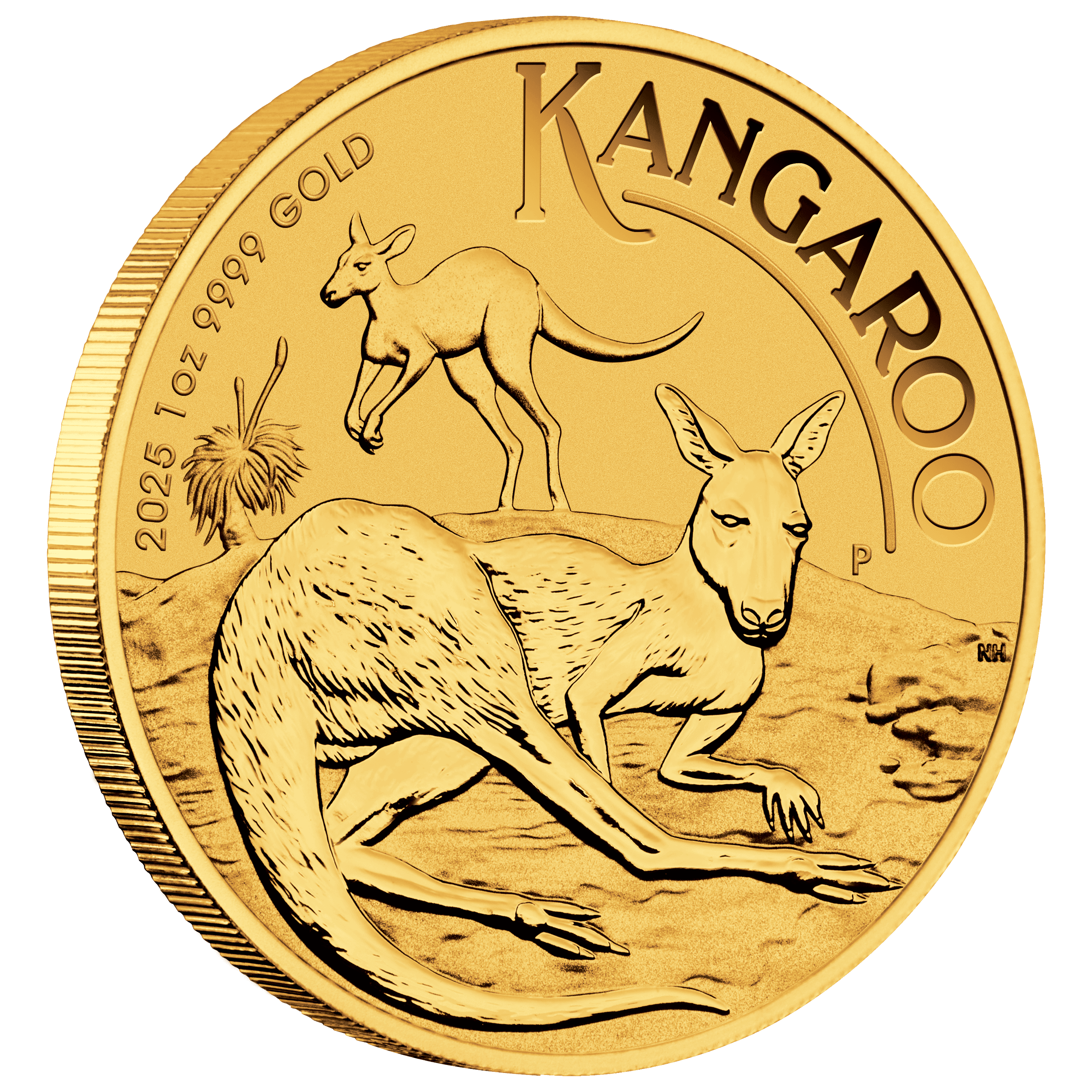 25014DAAX-2025-australian-kangaroo-1oz-gold-coin-2025-australian-kangaroo-1oz-gold-coin