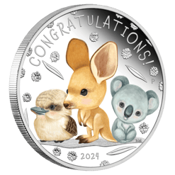 2024 newborn baby 1/2oz. 9999 silver proof coin