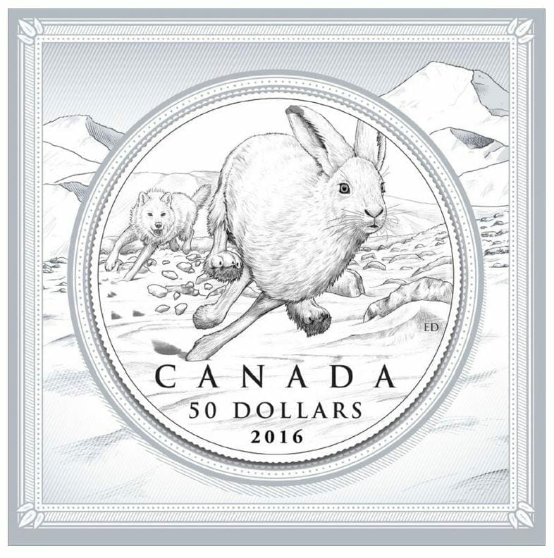 151087-2016-50-hare-12oz-9999-silver-coin-royal-canadian-mint
