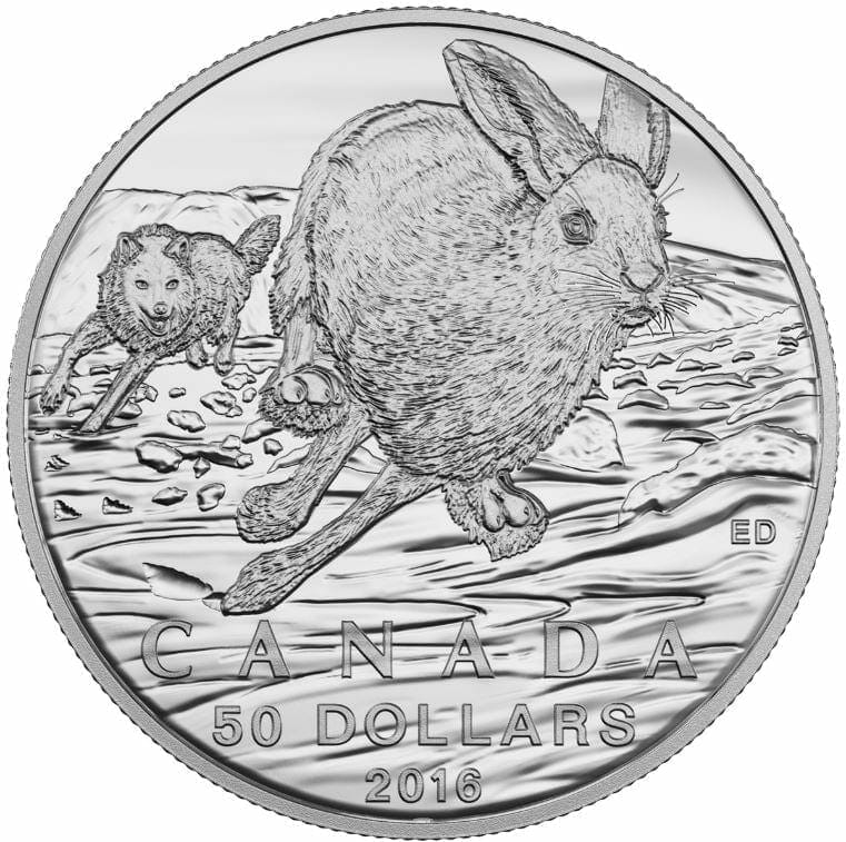 151087-2016-50-hare-12oz-9999-silver-coin-royal-canadian-mint