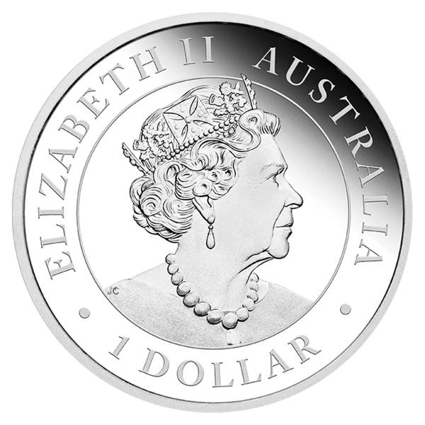 20C43AAX-2020-australian-emu-1oz-9999-silver-bullion-coin
