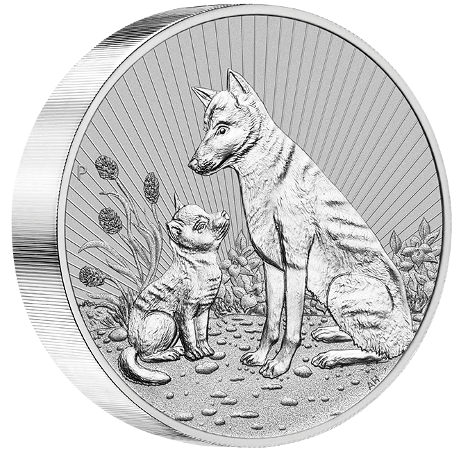 baby dingo 22528CAX-2022-mother-baby-dingo-2oz-9999-silver-bullion-piedfort-coin-in-pm-plastic-flip