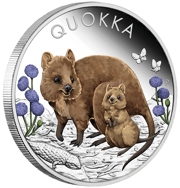 22O41AAA-2022-australian-quokka-1oz-9999-silver-proof-coloured-coin