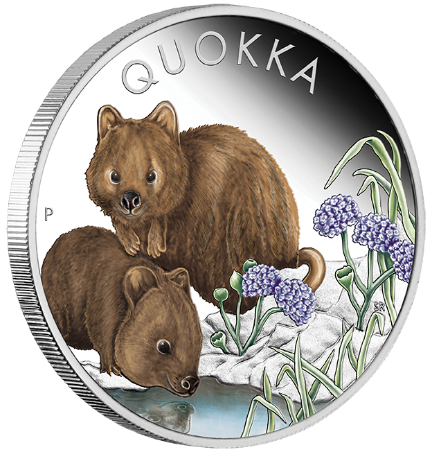 quokka 23Q63AAA-2023-australian-quokka-1oz-silver-proof-coloured-coin