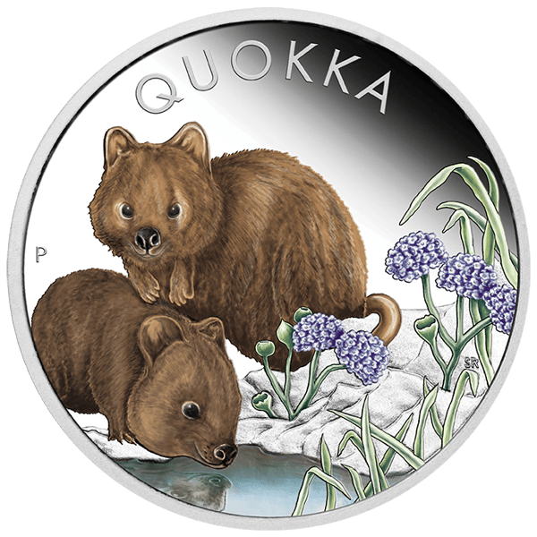 23Q63AAA-2023-australian-quokka-1oz-silver-proof-coloured-coin