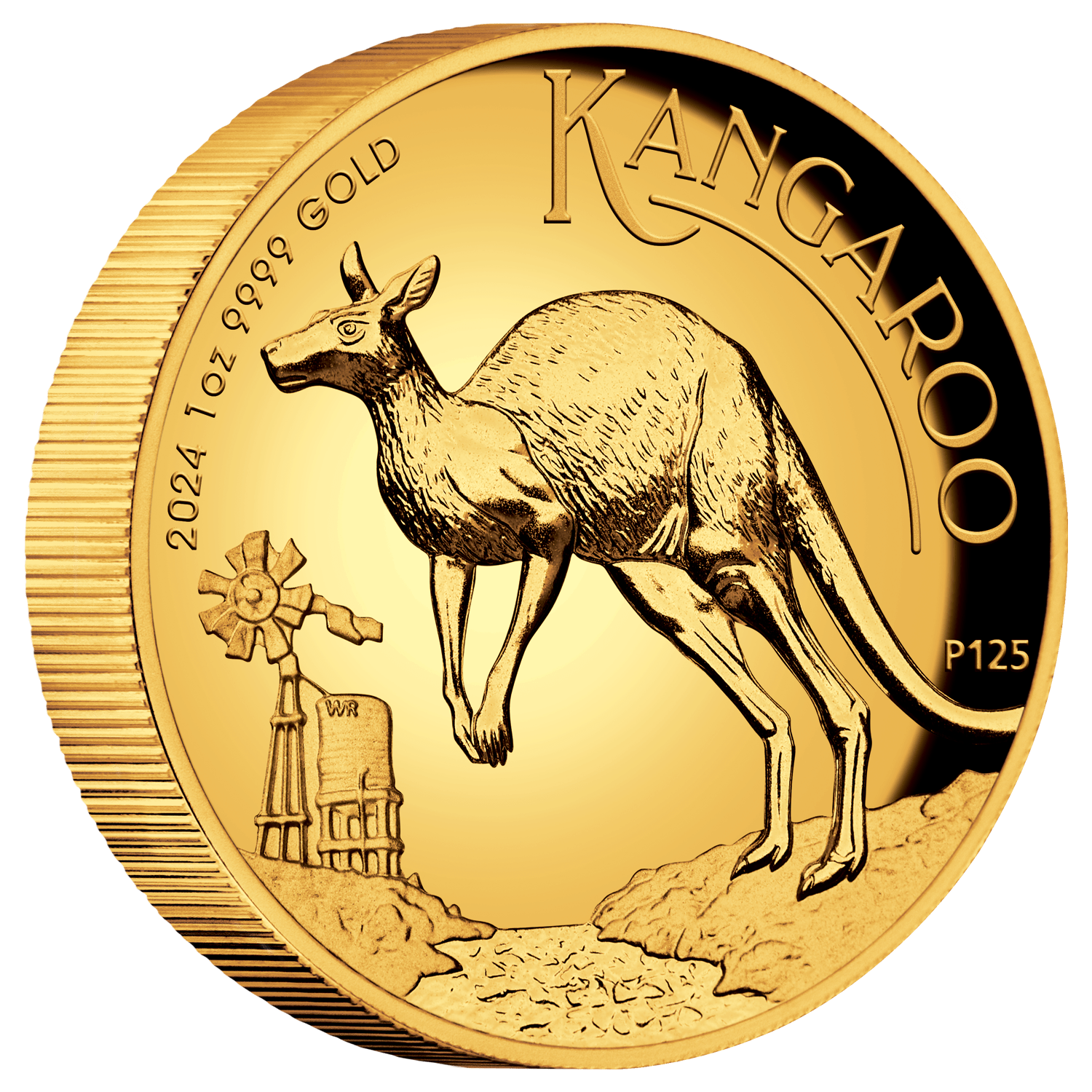 24314DAAA-2024-australian-kangaroo-1oz-gold-proof-high-relief-coin-2024-australian-kangaroo-1oz-gold-proof-high-relief-coin