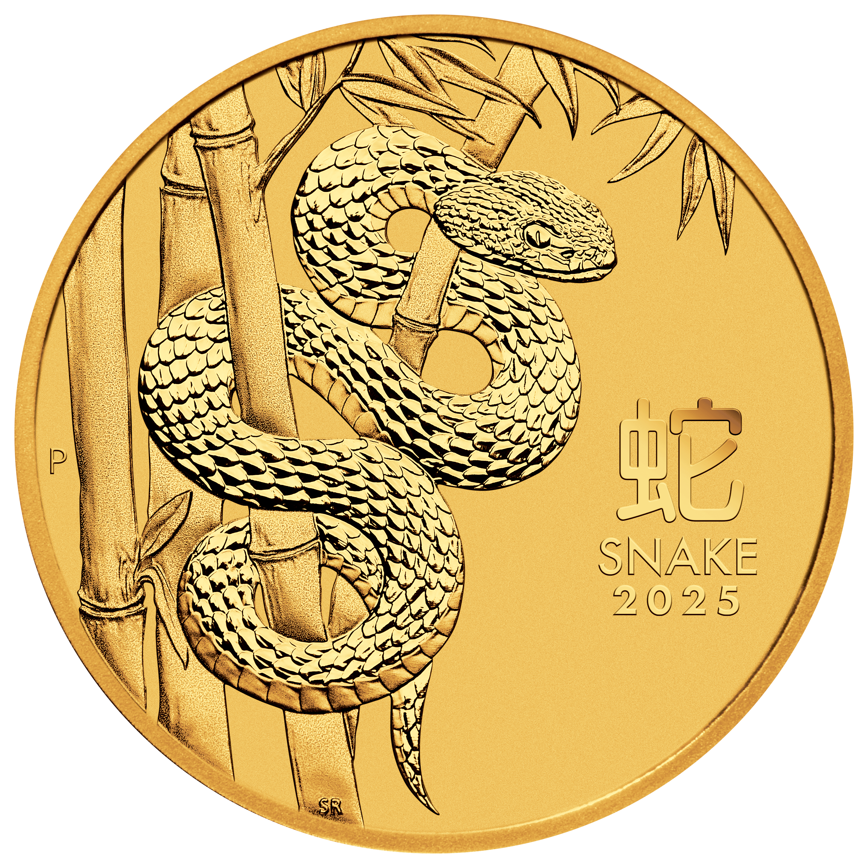 Year of the Snake 3S2505BAAX-2025-year-of-the-snake-10oz-gold-coin