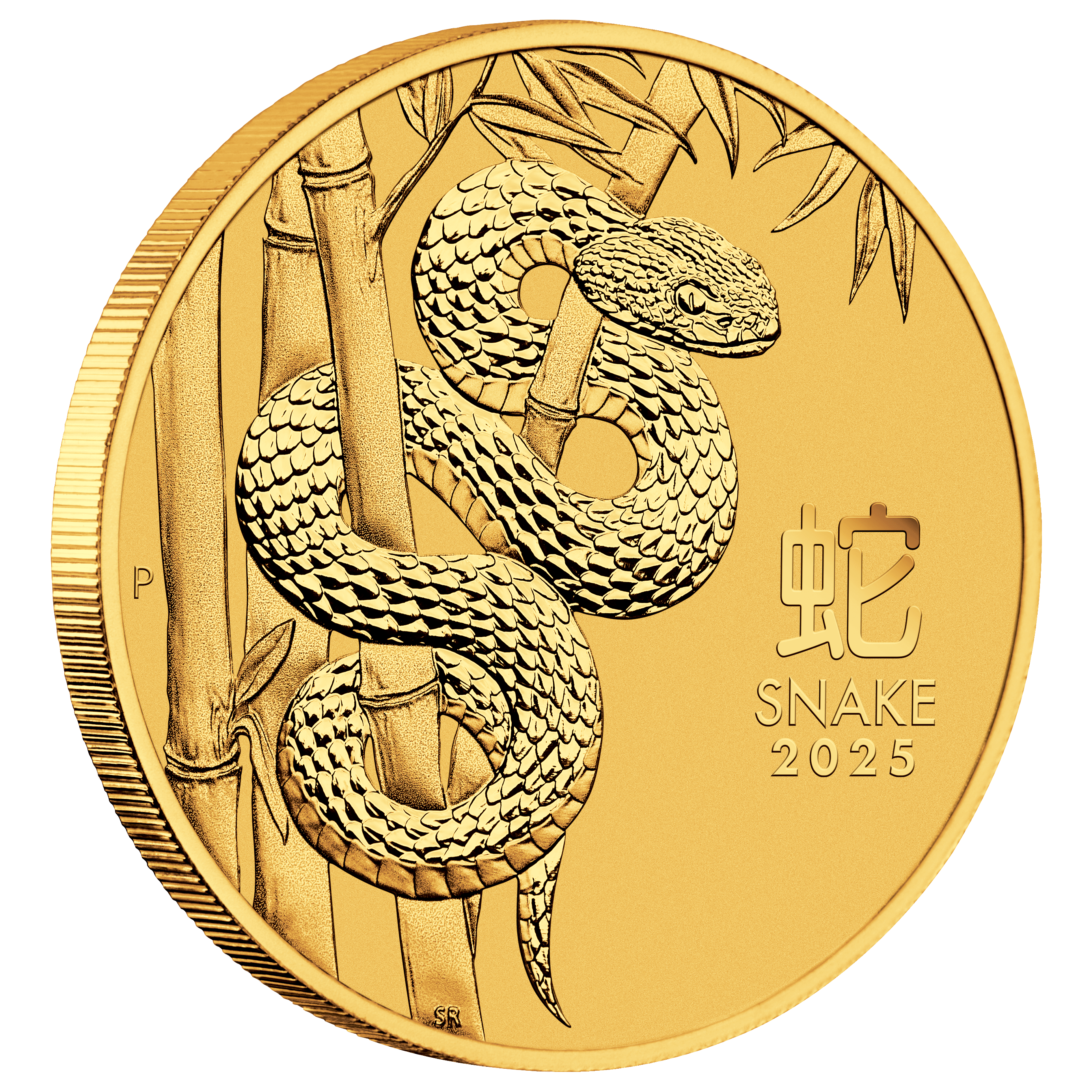 3S2505GAAX-2025-year-of-the-snake-110oz-gold-coin-2025-year-of-the-snake-110oz-gold-coin